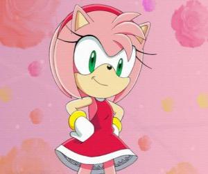 Puzzle Amy Rose, Sonic kız iddia kirpi kadın